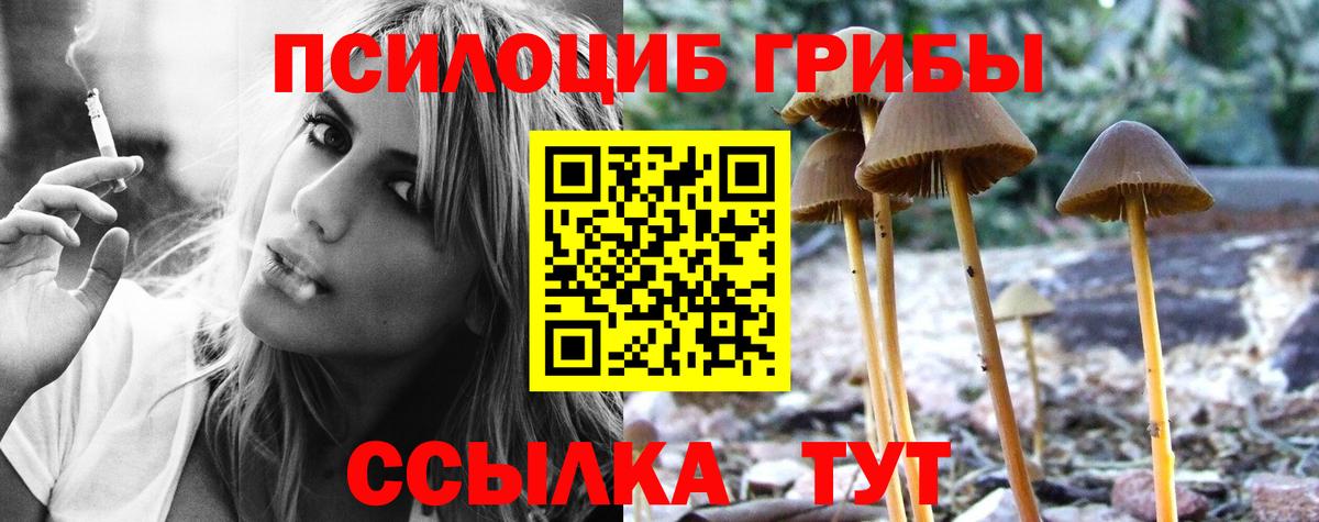 Галлюциногенные грибы ЛСД Кузнецк